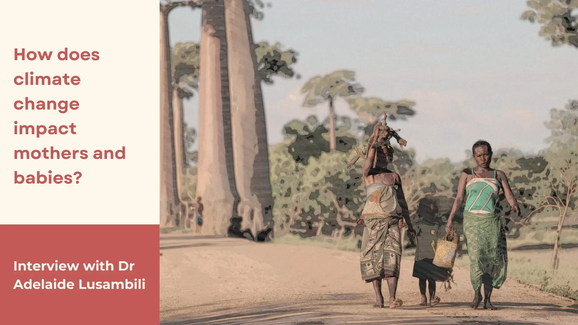 The image consists of a photo shot in Madagascar by 2Photo Pots, Unpslash on the right and text on the left. The photo shows two women walking in the sun with a child in the middle against a verdant background. The woman on the right is carrying a bundle of wood. On the left is written “How does climate change impact mothers and babies?” against a beige background and below that is written “Interview with Dr Adelaide Lusambili” against a crimson background.